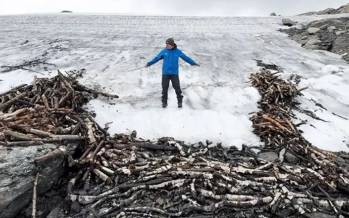 تلۀ گوزن,کشف تلۀ گوزن