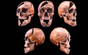 اسکلت,افشای راز وحشتناک یک اسکلت 750 ساله