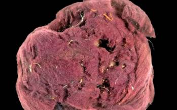 رنگ تقلبی,کشف رنگ تقلبی باستانی