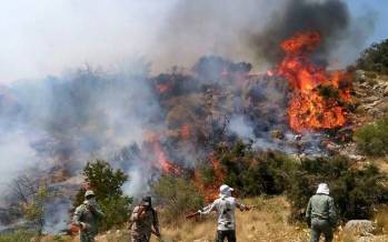 جنگل هیرکانی,زمین‌خواران پشت پرده آتش‌سوزی جنگل هیرکانی