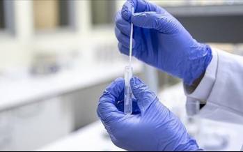 آنفلوآنزا,افزایش شدید مبتلایان به آنفلوآنزا در کره جنوبی و ژاپن