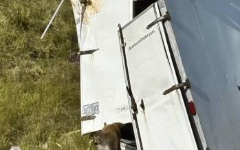 واژگونی کامیون حامل میمونهای مبتلا به ویروسهای خطرناک در آمریکا واژگونی کامیون حامل میمونهای مبتلا به ویروسهای خطرناک در آمریکا,میمون های حاوی ویروس