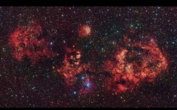 هالووین در فضا,عکسی از خفاش هالووین در آسمان