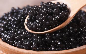 خاویار,ماهی نر خاویاری