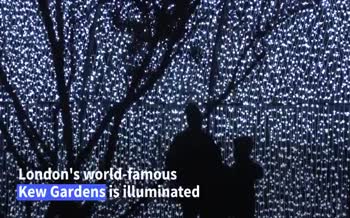 فیلم | روشن شدن چراغ‌های کریسمس در مشهورترین باغ گیاه شناسی