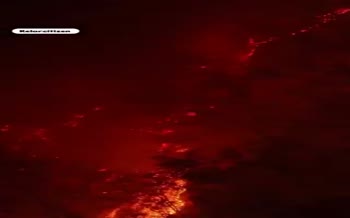 وسعت آتش در جنگل‌ الیت چالوس | گریه‌های جنگلبانان هنگام سوختن درختان چندهزارساله در جنگل‌های هیرکانی