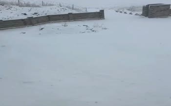 فیلم | بارش برف در برخی از شهرهای ایران (24 آبان 1404)