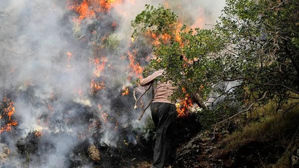 آتش سوزی جنگلهای هیرکانی,نابودی ایران