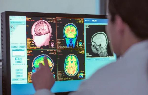 مغز در طول,بررسی مغز در طول