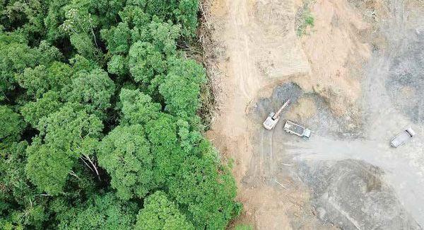 آتش سوزی جنگلهای هیرکانی,نابودی ایران