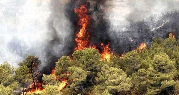 آتش سوزی جنگلهای هیرکانی,نابودی ایران