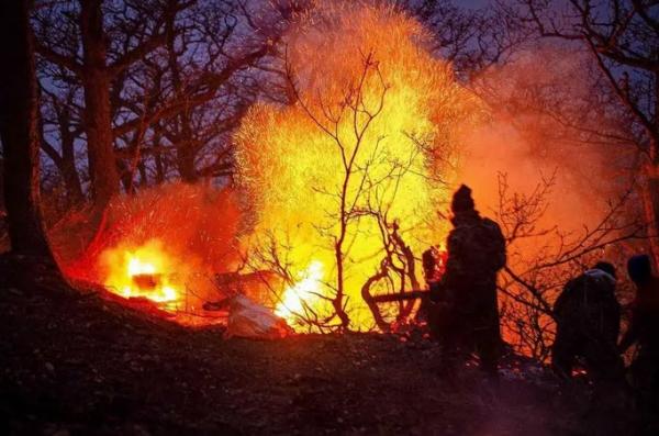 آتش سوزی جنگل‌های هیرکانی,اخبار آتش سوزی جنگل‌های هیرکانی