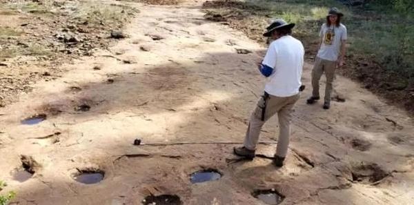 دایناسور,ردپای دایناسور