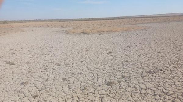 تالاب بند علیخان تالاب بند علیخان,خشک شدن تالاب بند علیخان