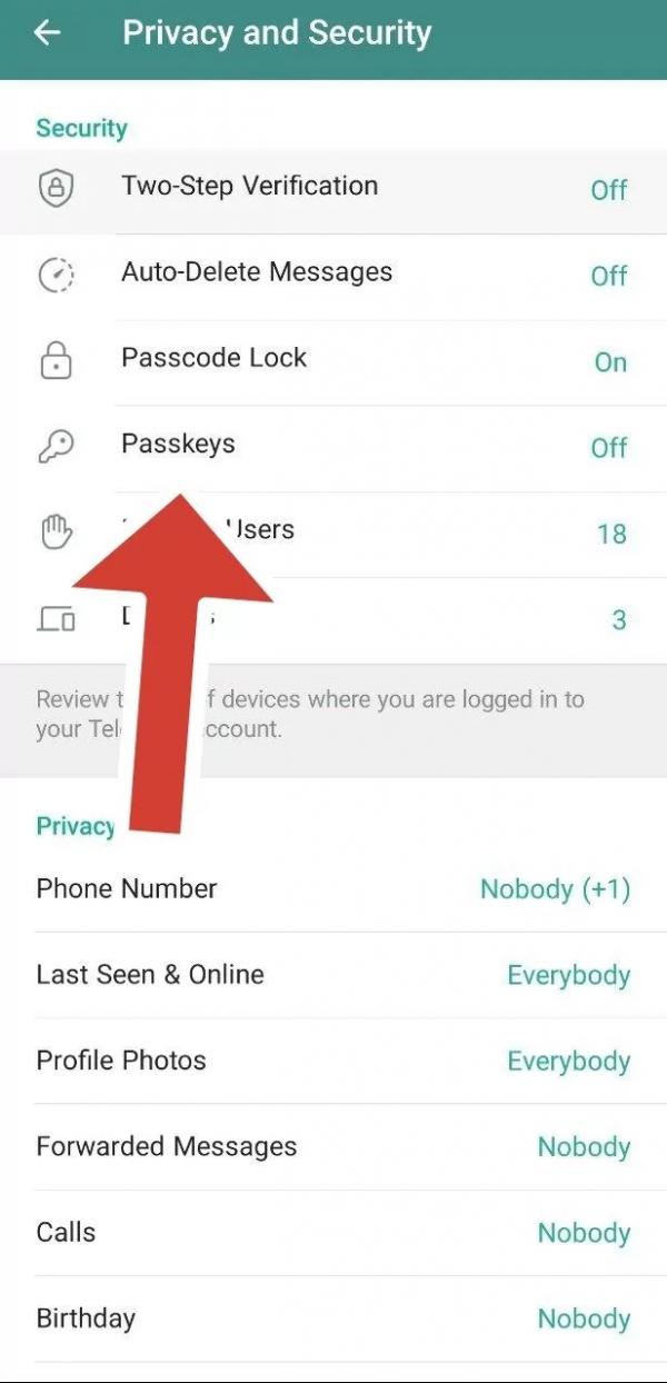تلگرام,اضافه شدن قابلیت Passkeys به تلگرام