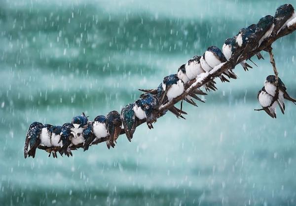 آخرین وضعیت آب و هوایی ایران آخرین وضعیت آب و هوایی ایران,بارش برف و باران در کشور