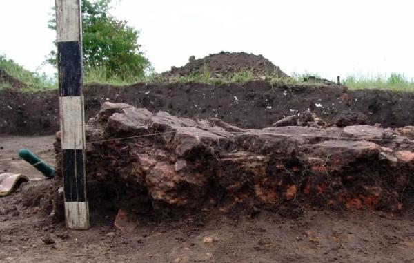 گاو کوچک باستانی گاو کوچک باستانی,کشف گاو کوچک باستانی در اوکراین