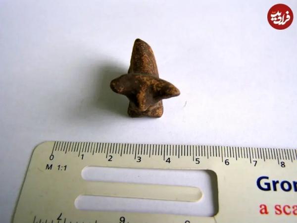 گاو کوچک باستانی گاو کوچک باستانی,کشف گاو کوچک باستانی در اوکراین