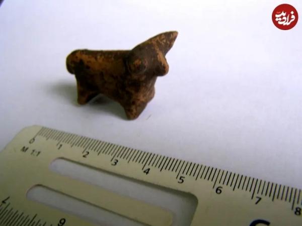 گاو کوچک باستانی گاو کوچک باستانی,کشف گاو کوچک باستانی در اوکراین