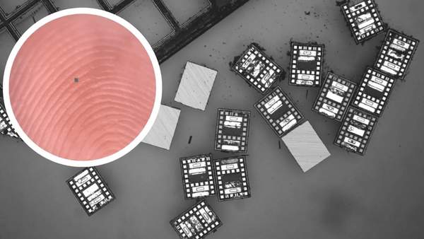 ربات,کوچک‌ترین ربات‌های جهان