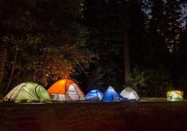 ممنوعیت اقامت شبانه گردشگران در جنگل‌های آمل,جنگل آمل