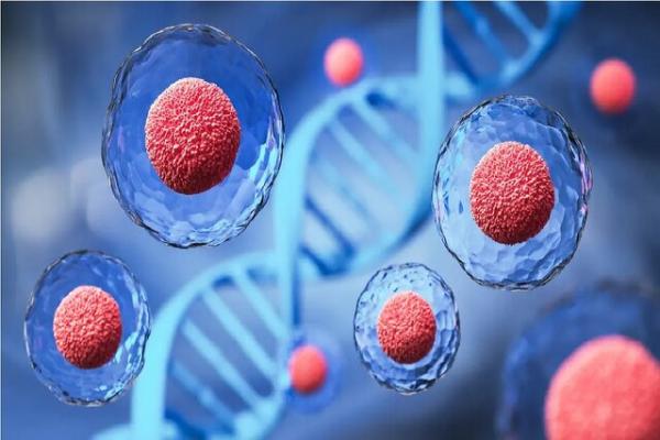 ژن ژن,کشف یک ژن غیر کدکننده برای کنترل رشد سلولهای بزرگ