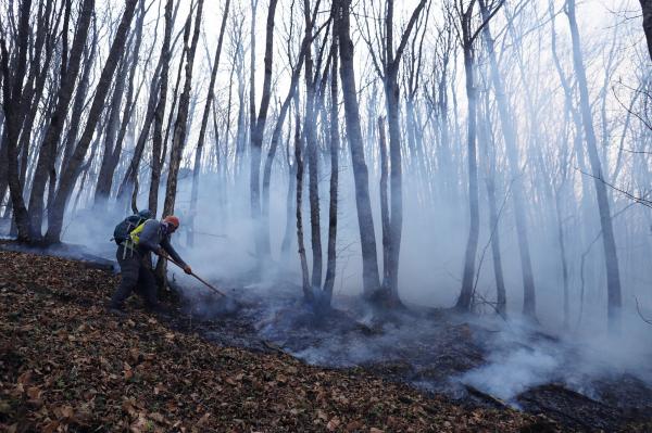 آتش گرفتن جنگل های شمال,برخورد امنیتی با آتش‌سوزی در ایران