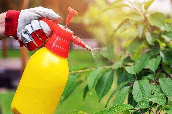 آفتکشها آفتکشها,خطر برای میکروبهای مفید روده با استفاده از آفت کش