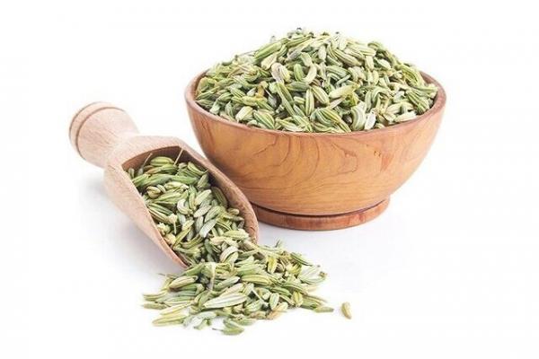 رازیانه رازیانه,اثر مصرف رازیانه بر روی خونریزی قاعدگی