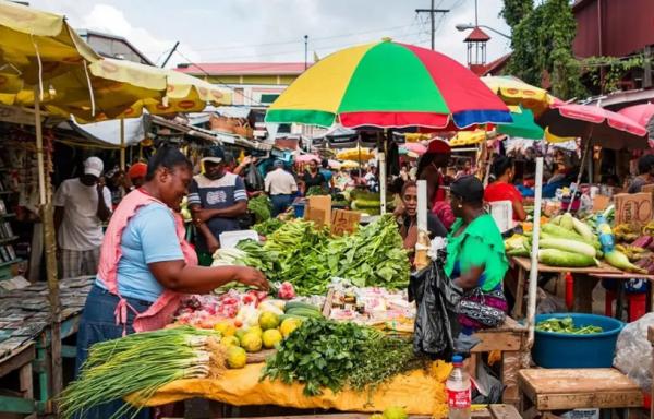 کشور گویان کشور گویان,تولید تمامی مواد غذایی در کشور گویان