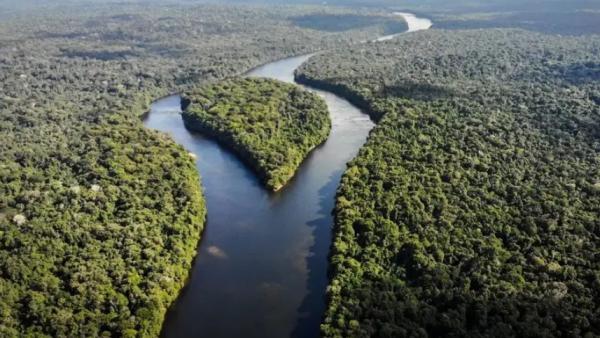 کشور گویان کشور گویان,تولید تمامی مواد غذایی در کشور گویان