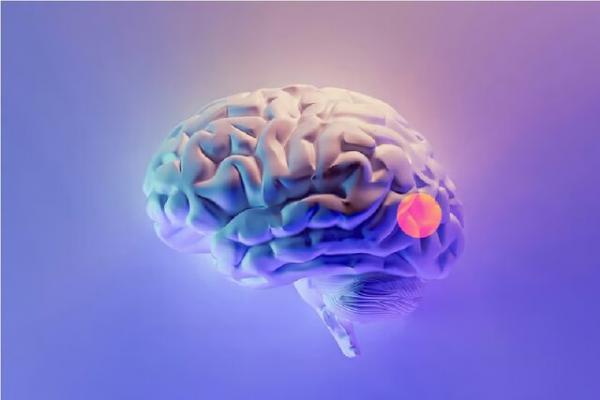 مغز,طراحی دارویی به صورت قطره بینی برای حذف تومورهای مغزی