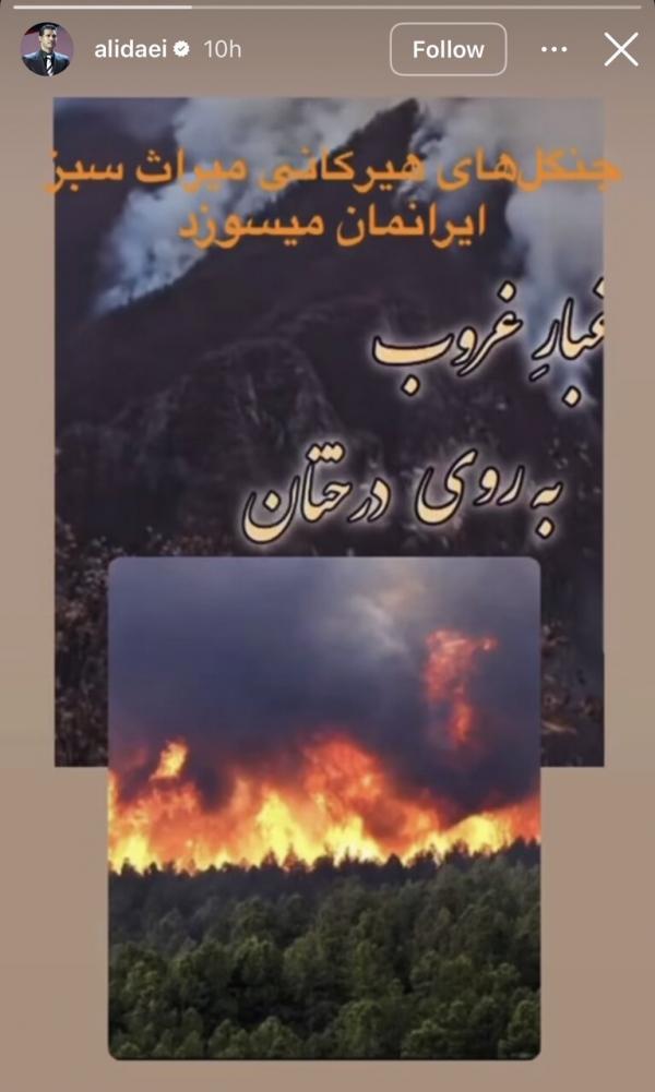 علی دایی علی دایی,واکنش علی دایی به آتش گرفتن جنگلهای هیرکانی
