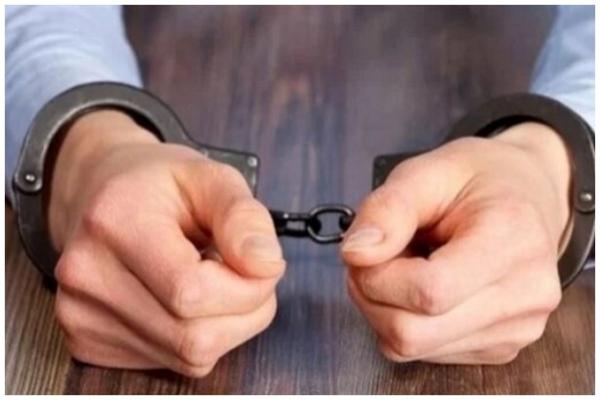 مهمانی مختلط بازیگران,دستگیری بازیگران در پارتی