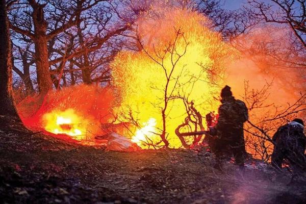 آتش سوزی‌های جنگل,عمدی بودن آتش سوزی‌های جنگل در شمال ایران