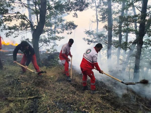 جنگل های هیرکانیعآتش سوزی جنگل ها در شمال ایران