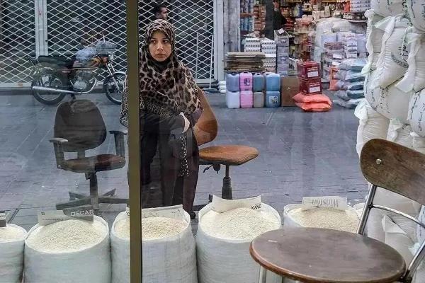 برنج برنج,قیمت برنج