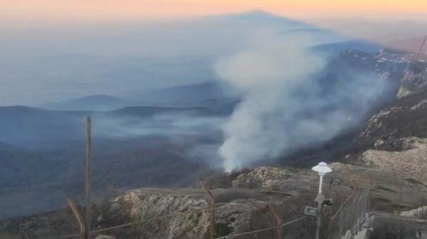 جنگل‌های درازنو,آتش گرفتن جنگل‌های درازنو