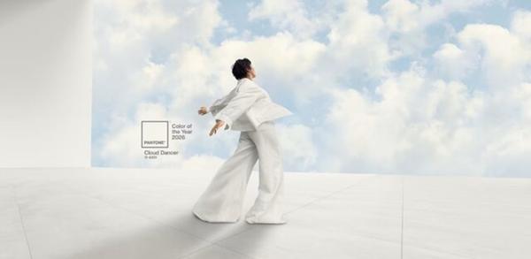 رنگ سال 2026,واکنش‌ها به انتخاب رنگ سال 2026