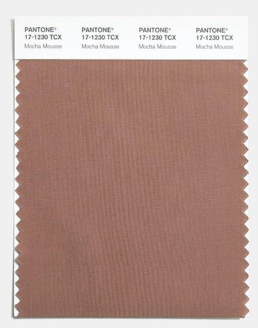 رنگ سال 2026,واکنش‌ها به انتخاب رنگ سال 2026