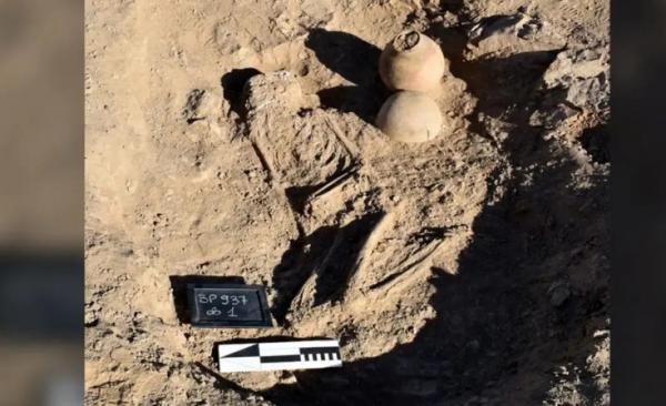 اسکلت اسکلت,دفن اسکلت در کنار کوزهای پر از چوب و حشره و کود