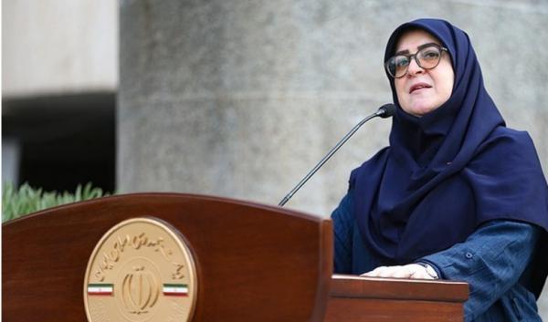 فاطمه مهاجرانی,سخنگوی دولت