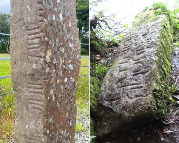 انتشار لغت‌نامه یک زبان باستانی,لغت‌نامه زبان باستانی