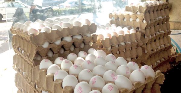 قیمت تخم مرغ ,افزایش قیمت تخم مرغ در بازار