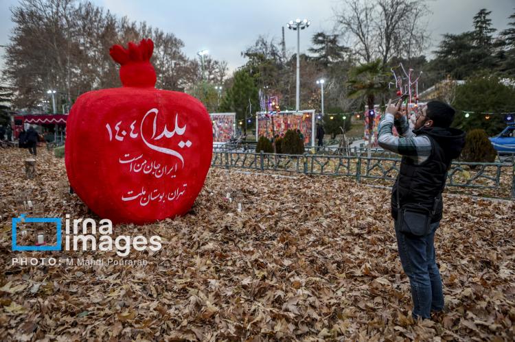 تصاویر جشنواره نور در یلدای ایرانی تصاویر جشنواره نور در یلدای ایرانی,عکس های جشنواره نور در یلدای ایرانی در آذر 1404,تصاویری از جشنواره نور در یلدای ایرانی در تهران