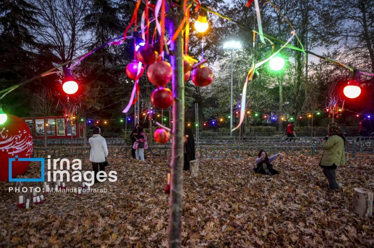 تصاویر جشنواره نور در یلدای ایرانی تصاویر جشنواره نور در یلدای ایرانی,عکس های جشنواره نور در یلدای ایرانی در آذر 1404,تصاویری از جشنواره نور در یلدای ایرانی در تهران