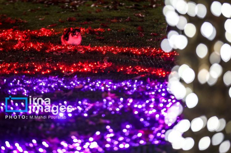 تصاویر جشنواره نور در یلدای ایرانی تصاویر جشنواره نور در یلدای ایرانی,عکس های جشنواره نور در یلدای ایرانی در آذر 1404,تصاویری از جشنواره نور در یلدای ایرانی در تهران