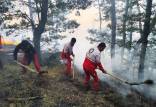 پس از ۸ روز؛ توقف گسترش آتشسوزی در الیت چالوس | مسیرهای منتهی به جنگلهای مازندران مسدود شد جنگل های هیرکانیعآتش سوزی جنگل ها در شمال ایران