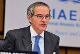 رافائل گروسی,مدیرکل آژانس بین‌المللی انرژی اتمی