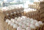 قیمت تخم مرغ ,افزایش قیمت تخم مرغ در بازار